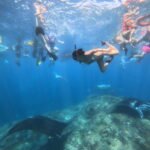 Sharing Snorkeling Trip to Manta Point