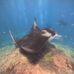 ⁠Tour Package Nusa Penida (Sharing Snorkeling & West trip)