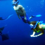 Private Snorkeling Trip to Manta Point