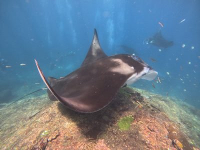 DCIM100GOPROGOPR4698.JPG