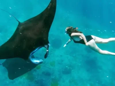 snorkeling manta bay (3)