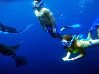 snorkeling manta bay (4)