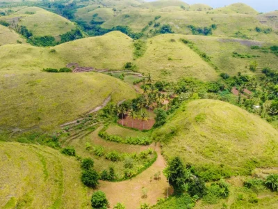 teletubbies hill (3)