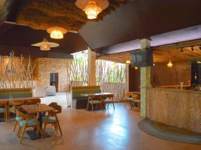 the mg villa & spa (10)