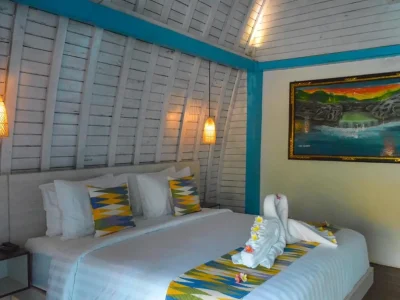 the mg villa & spa (13)