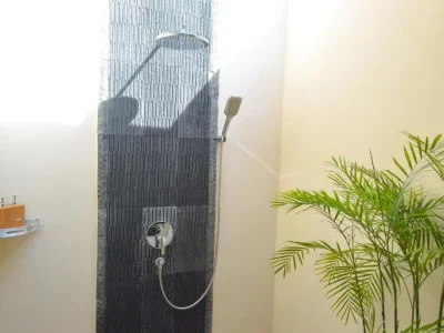 the mg villa & spa (2)