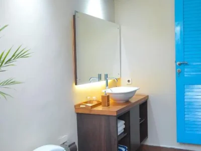 the mg villa & spa (3)